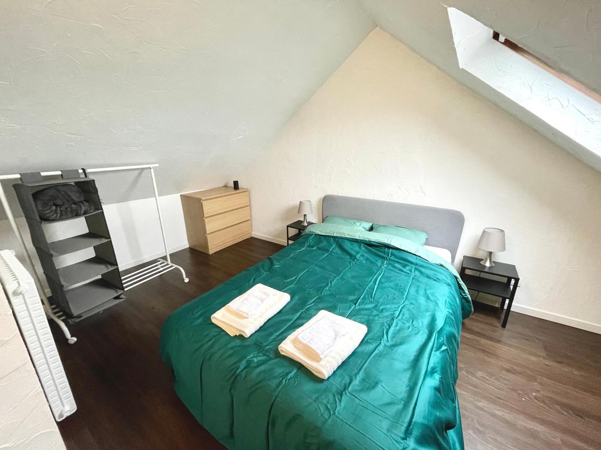 Appartement Duplex 90M2 - 3 Chambres - Mulhouse Bagian luar foto