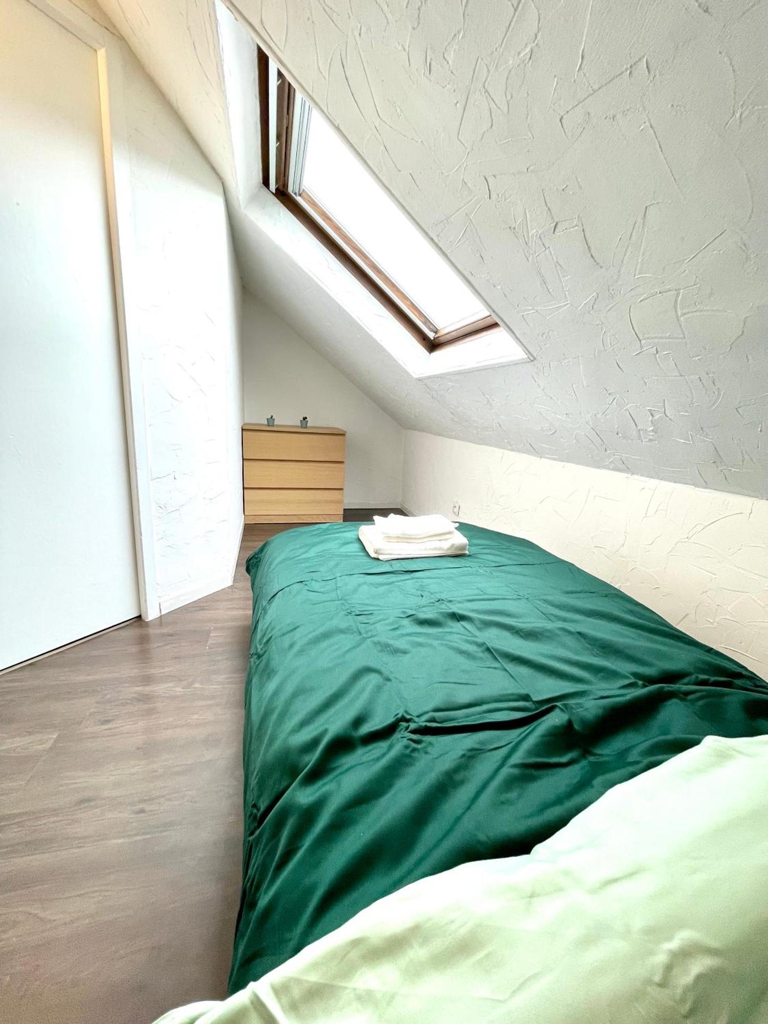 Appartement Duplex 90M2 - 3 Chambres - Mulhouse Bagian luar foto