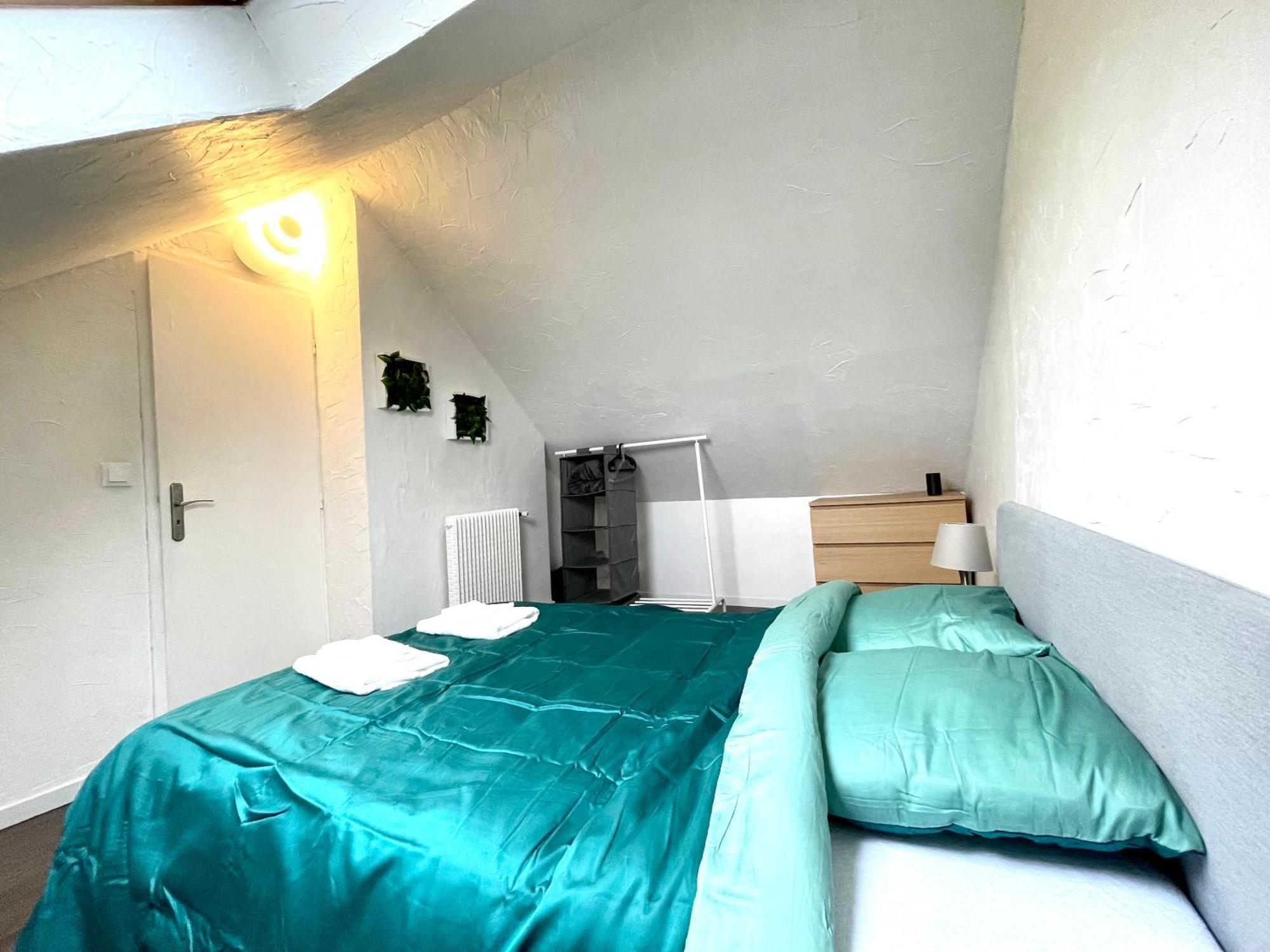 Appartement Duplex 90M2 - 3 Chambres - Mulhouse Bagian luar foto